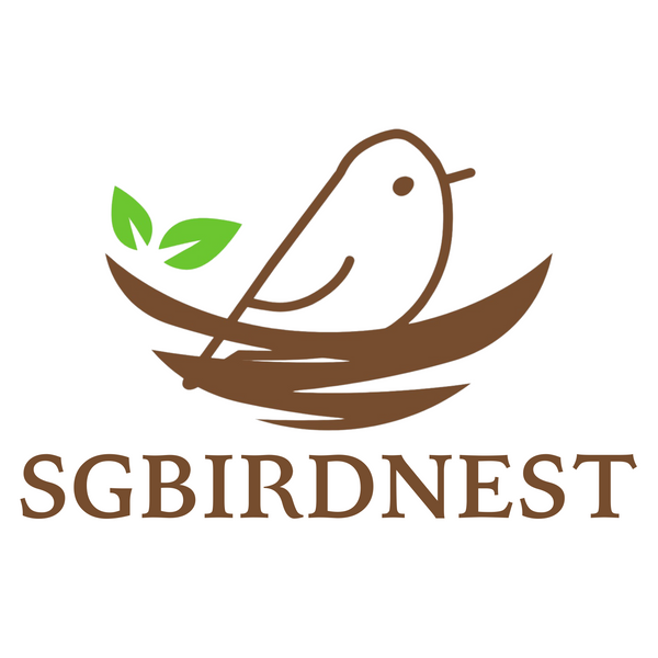 SG Bird's Nest